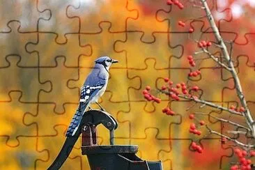 natural jigsaw puzzle