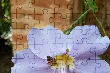 CENÃRIO K30 jigsaw puzzle