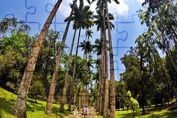 natural jigsaw puzzle