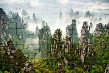 Floresta jigsaw puzzle