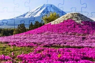 imagem jigsaw puzzle