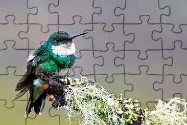 imagem jigsaw puzzle