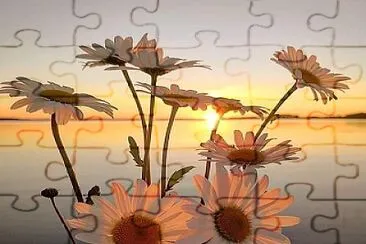 belleza jigsaw puzzle