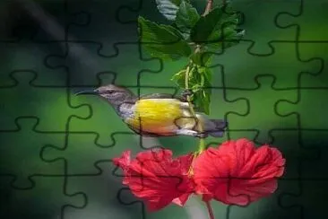 flores jigsaw puzzle