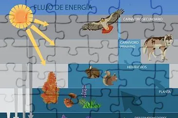 פאזל של FLUJO DE ENERGIA