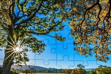 natural jigsaw puzzle