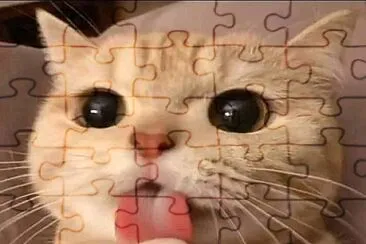  jigsaw puzzle