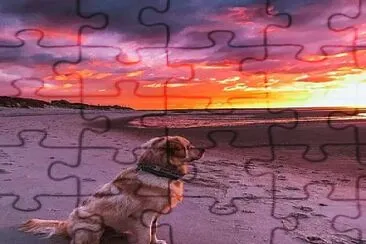 belleza jigsaw puzzle