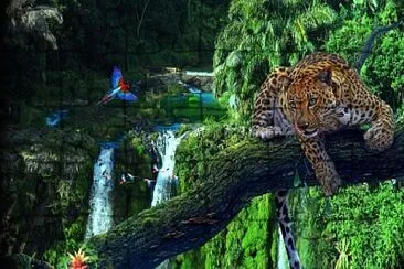 Amazonia jigsaw puzzle