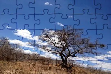 imagem jigsaw puzzle