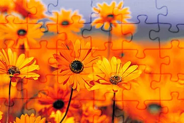 flores jigsaw puzzle