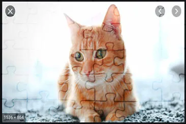 Gato jigsaw puzzle