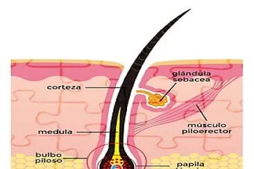 ROMPECABEZAS 2