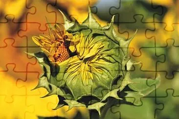 Toy jigsaw puzzle