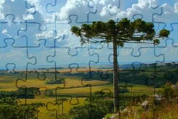 imagem jigsaw puzzle