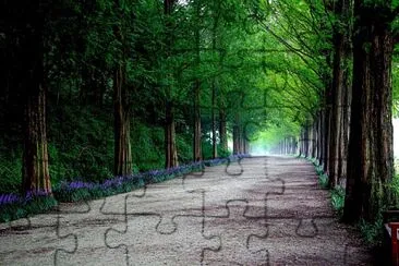 Caminho verde jigsaw puzzle