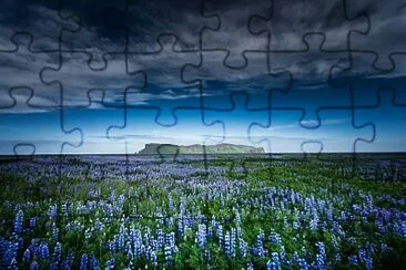 Campo de flores jigsaw puzzle