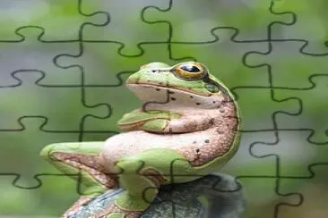 Funny jigsaw puzzle