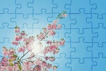 flores jigsaw puzzle