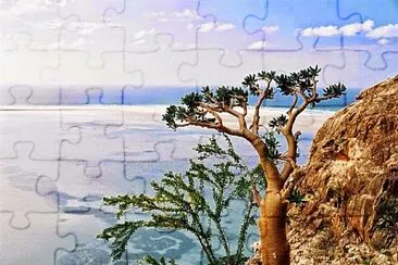 imagem jigsaw puzzle