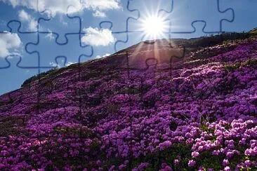 imagem jigsaw puzzle