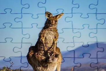 natural jigsaw puzzle