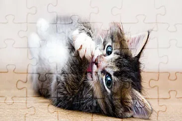 los gatitos jigsaw puzzle