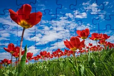 Flores vermelhas jigsaw puzzle