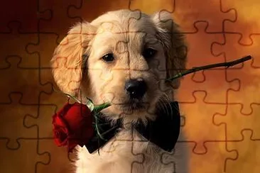 פאזל של cachorro romÃ¡ntico