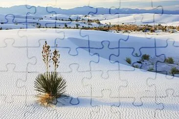 dÃ©sert blanc jigsaw puzzle