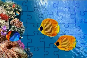 CORAL jigsaw puzzle