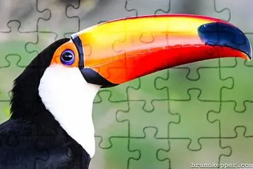 Tucano jigsaw puzzle