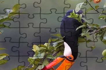 natural jigsaw puzzle