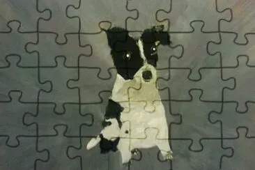 ×¤×™×•× ×” jigsaw puzzle