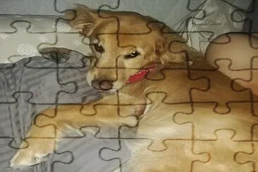  jigsaw puzzle