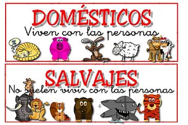 Animales salvajes y domesticos