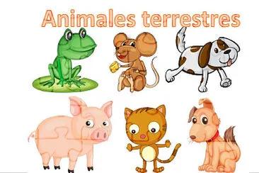 Animales terrestres