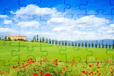 amapolas jigsaw puzzle