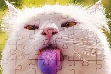 cat jigsaw puzzle