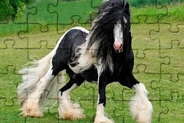 Caballo Percheron. jigsaw puzzle