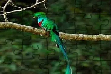 Quetzal 2 jigsaw puzzle