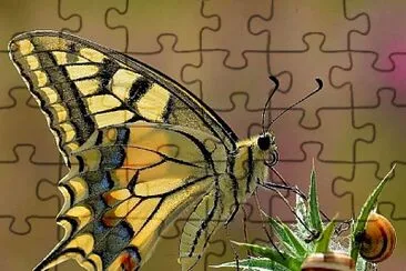 imagem jigsaw puzzle