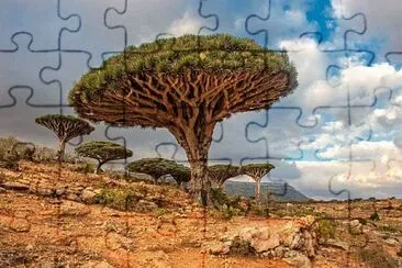 imagem jigsaw puzzle