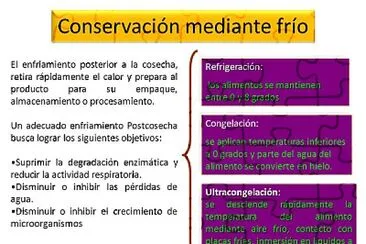 CONTAMINACION