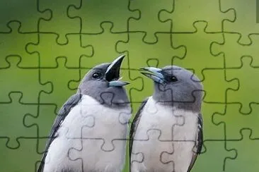 natural jigsaw puzzle