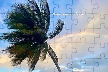 natural jigsaw puzzle