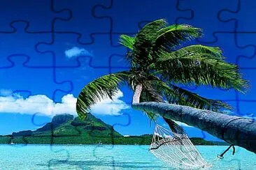 palm beach jigsaw puzzle