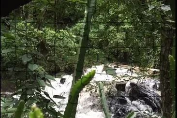 Naturaleza Valle de Bravo