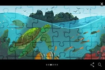 tortugas jigsaw puzzle