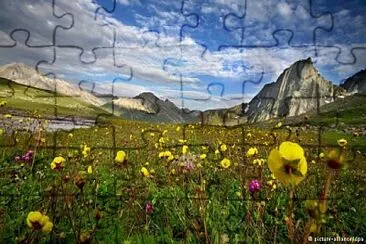 imagem jigsaw puzzle